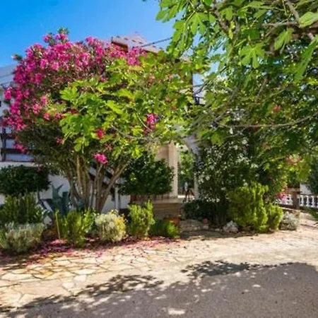Apartman With Parking Space - 23962